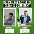 thumbnail image 3 of Benevolent Nourishment Liquid Chlorophyll Drops Herbal Supplement, Natural Mint, 2 fl oz, 3 of 9