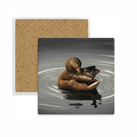 

Swan Organism Animal Photography Square Coaster Cup Mat Mug Subplate Holder Insulation Stone