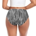 thumbnail image 3 of Womens Underwear Zebra Skin Cuteness No Show Seamless Underwear for Women, Soft Stretch Women's Panties, Hipster Ladies Panties Bikini Underwear Briefs, 3 of 6