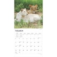thumbnail image 3 of Lions | 2025 12x24" (Hanging) Square Wall Calendar | BrownTrout, 3 of 9