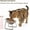Silver, variant on Elevated Raised Cat Bowls, 15° Tilted Whisker Friendly Stainless Steel Cat Food Water Bowls, Anti-Vomiting Spine Friendly Dishwasher Safe for Small Cats & Dogs