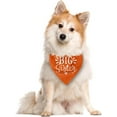 thumbnail image 2 of Big Sister Dog Bandana, Big Sister Bandana for Dog, Dog Pregnancy Announcement, Orange Dog Bandana, Big Sister Dog Shirt, Dog Bandana Pet Scarf, Dog Bandana for Small Medium Large Dogs (D28), 2 of 4