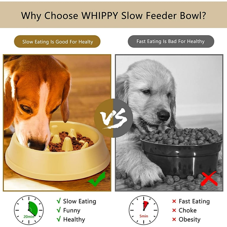 WHIPPY Slow Feeder Bowl for Small Medium Dog Fun Maze Feeder Dog