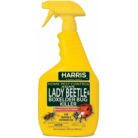 HARRIS Asian Lady Beetle and Box Elder Killer, Liquid Spray with Odorless and Non-Staining Extended Residual Kill Formula 32oz