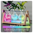 thumbnail image 5 of Light Up Bamboo Air Planter - Plant Lover Gifts for Women, Unique Christmas Gift, Best Indoor Gardening Housewarming Office Home Decor, Mom, Grandma, Her, Sister, Friend, Birthday, Garden Terrarium, 5 of 8