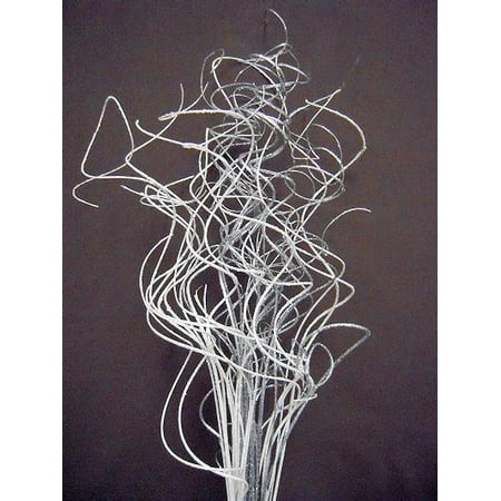 Specialty Ting Ting Bunches (Valentines, Wedding Bunch) Large 4 oz 40-45 stems -- Silver & White Glittered - Wedding bunch