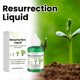 thumbnail image 4 of Plant Growth Promoter Is More Conducive To Better Baseing Germination And Growth Of Home-grown Plants 50ml, 4 of 9