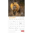 thumbnail image 4 of Canadian Geographic Foxes | 2026 12x24" (Hanging) Square Wall Calendar, 4 of 9