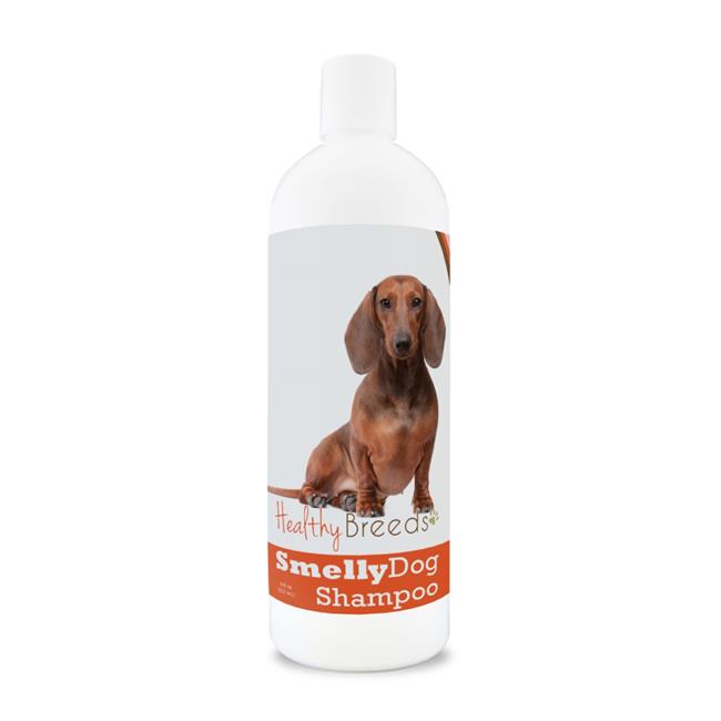 dachshund puppy shampoo
