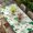 Green, variant on St. Patrick's Day Table Cloths for 5 Foot Rectangle Tables, Spring Green Shamrock Black Plaid Beige Patio Waterproof Elastic Fitted Tablecloths, Washable Rectangular Table Cover for Camping