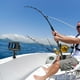 thumbnail image 2 of Accesorios Pesca Giratorios 360 ​​grados Con Base Montaje para Buscador Peces, 2 of 9
