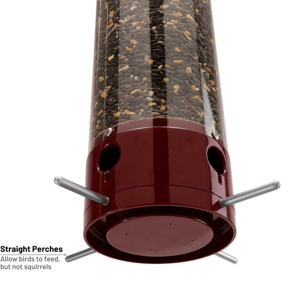 Droll Yankees Yankee Dipper Squirrel-Proof Tube Bird Feeder - Burgundy - 5 lb. capacity