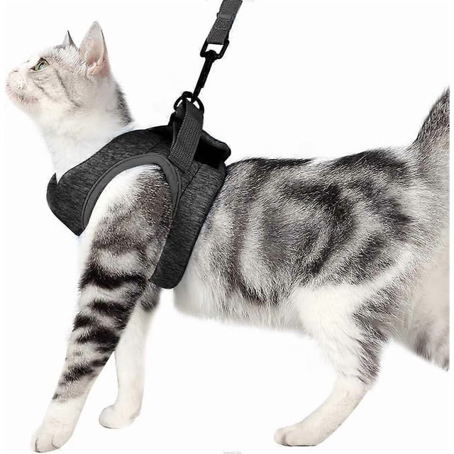 Ultralight Cat Harness and Leash Soft and Comfortable for Kitten Leak Proof Harness for Kittens and Rabbits (Gray, M)