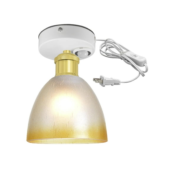 Kiven Motion Sensor Ceiling Light, Motion Activated Plug-in Ceiling lamp, Modern Motion Lights with Glass Globe, Adjustable Delay Time for Laundry Bathroom Stair Hallway,Antique Gold Socket