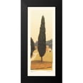 thumbnail image 2 of Melious, Amy 8x14 Black Modern Framed Museum Art Print Titled - Cypress I, 2 of 5