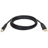 Tripp Lite U022-010 Black USB 2.0 Gold Plated A to B Device Cable - 10 ft.