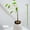 12", variant on 6 Pcs Flower and Plant Support Stakes, Reusable Plant Stakes for Indoor, Plastic Plant Cage Holder Ring, Indoor Outdoor Plant Flowers, Amaryllis, Tomatoes, Vegetable,12"