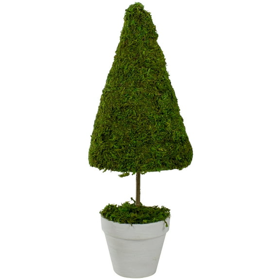 20.5" Green Reindeer Moss Potted Artificial Spring Floral Topiary Tree
