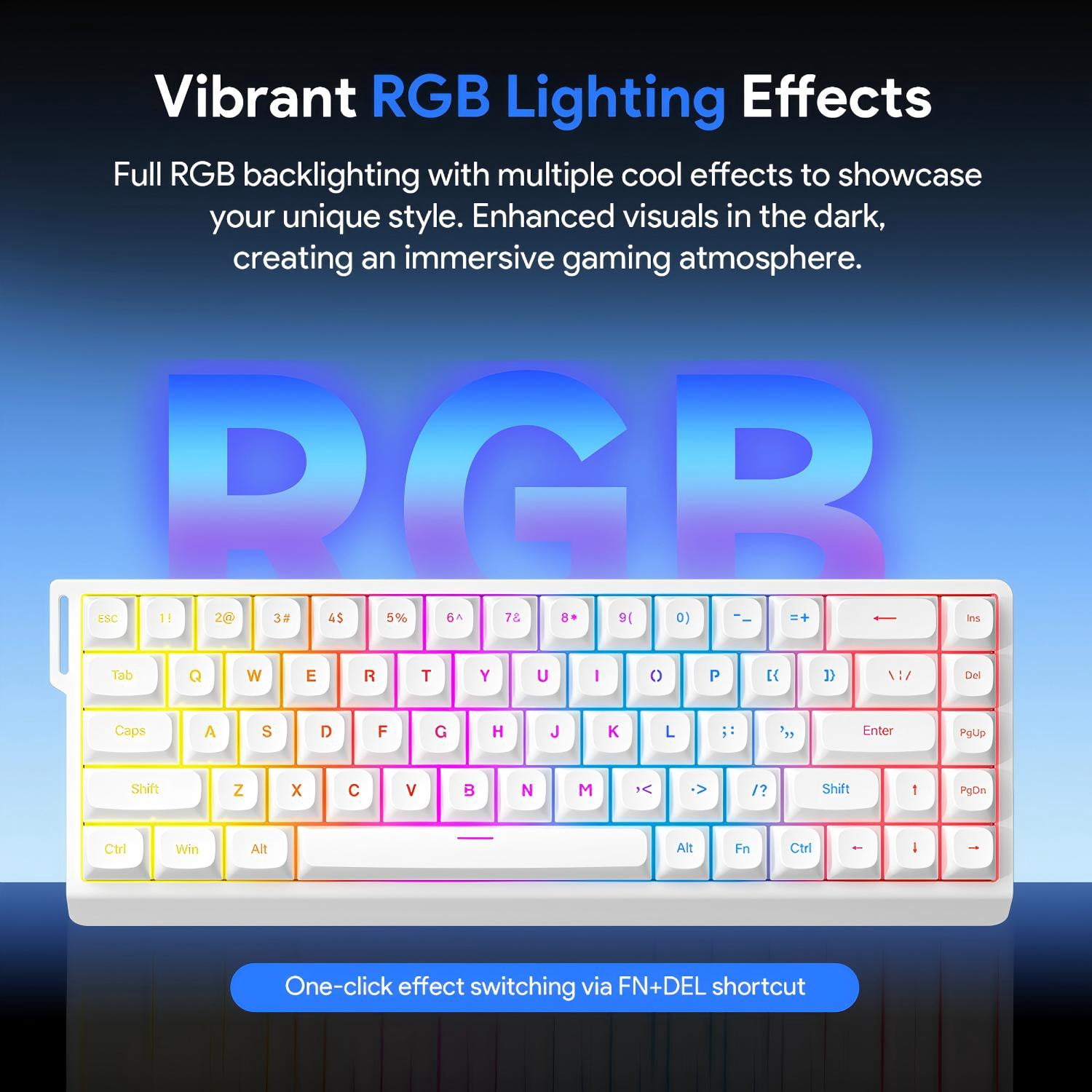Rechale 60% Layout 68-Key Wired RGB Mechanical Feel Keyboard, PBT Keycaps, Removable Ribbon, Silent Gasket Structure, 8000Hz Polling Rate, Anti-Ghosting, RGB Backlit, for PC Gamers Office Windows Mac