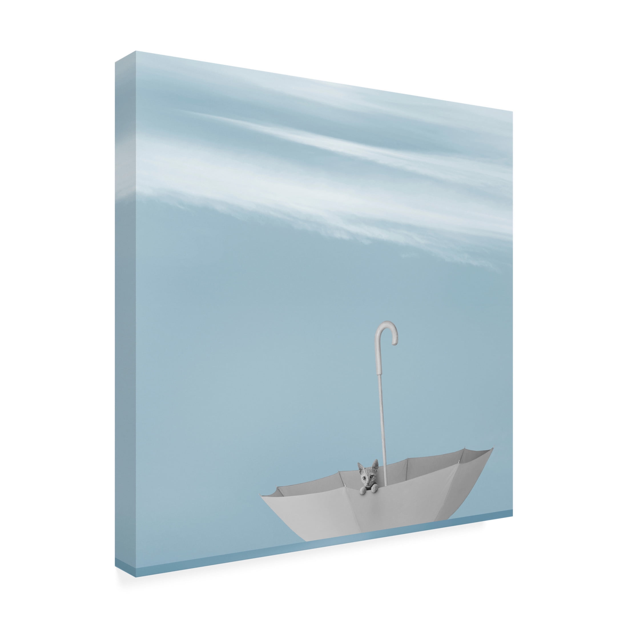 Canvas Wall Art - Jon Bertelli 'Bon Voyage' Wall Art for Living Room, Bedroom, or Office Décor by Trademark Fine Art - 18 x 18 Inches
