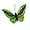 Green H, variant on Berfutall-Artificial Feather 3D Butterfly Party Decorations Set of 12 Color Ornaments for Christmas Tree(C)…