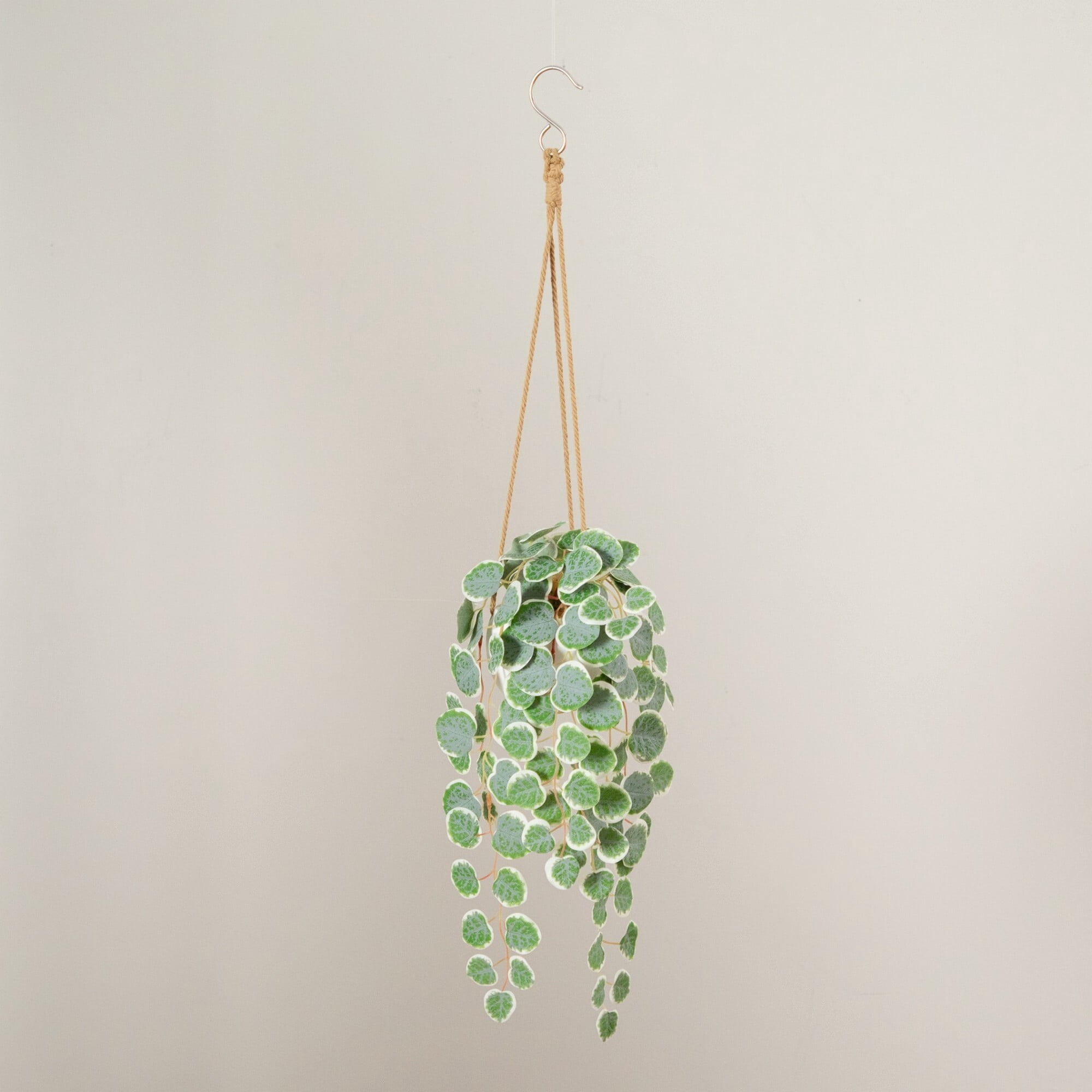 Artificial Wandering Jew & String of Hearts Hanging Plant - Set of 2