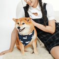 thumbnail image 2 of KLL Cartoon Swan Dog Bandanas,Triangle Reversible Pet Scarf for Small Medium Large and Extra Large Dogs-Small, 2 of 4