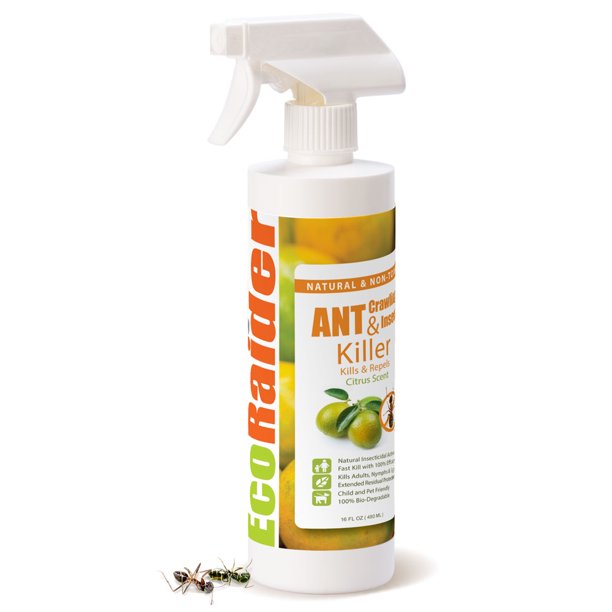 EcoRaider Natural Ant Killer, Kills and Repels, Green and Nontoxic