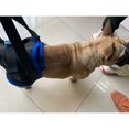 thumbnail image 3 of Arnés Para Levantamiento De Perros Sunnimix Soporte Para Cabestrillo Portátil Patas Traseras Naranja S, 3 of 8