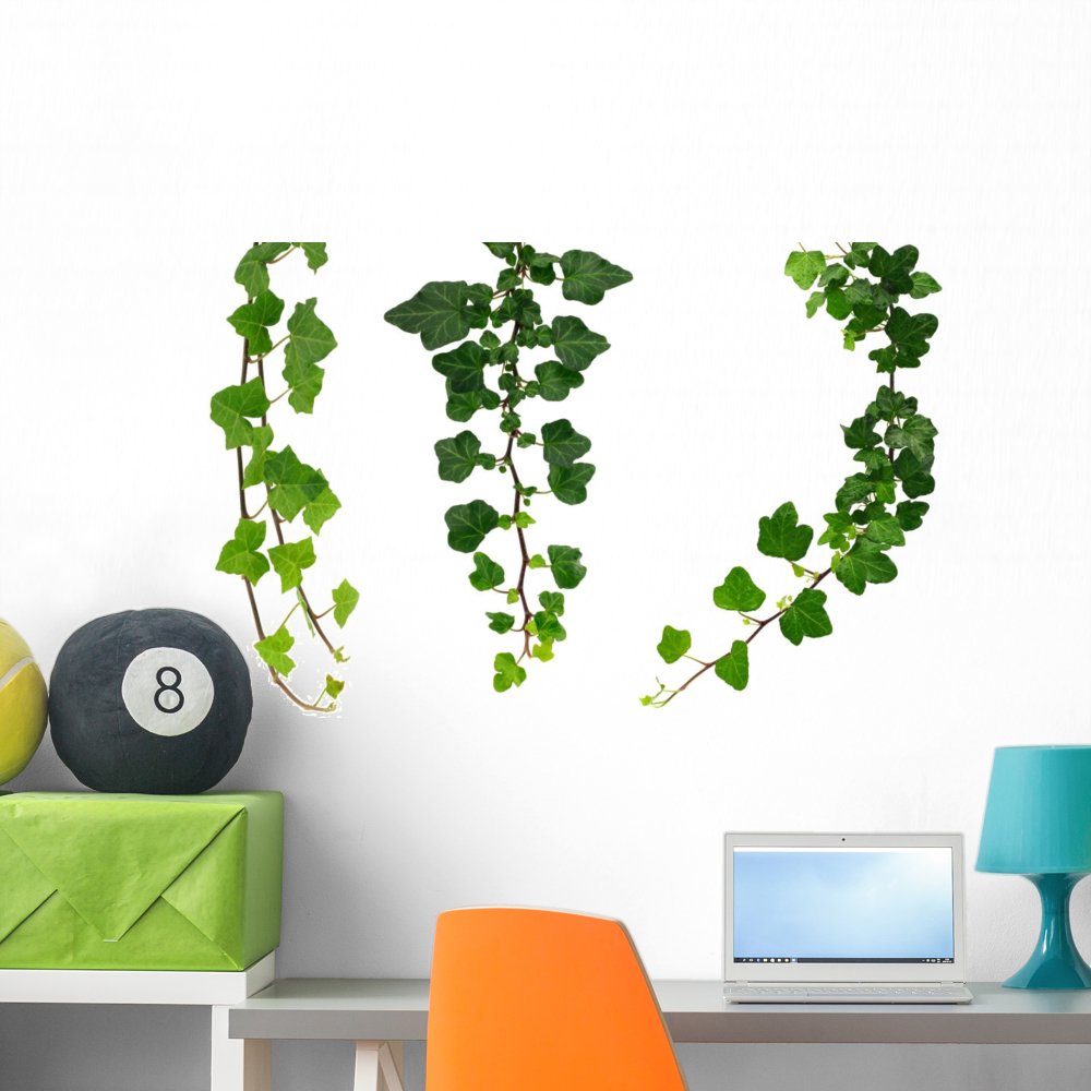 Three Different Green Ivy Wall Mural by Wallmonkeys Peel and Stick