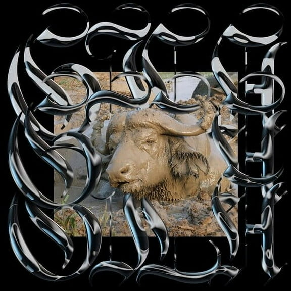 Gila - Trench Tones - Music & Performance - Vinyl