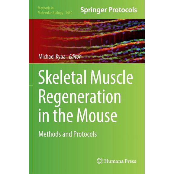 Skeletal Muscle Regeneration in the Mouse: Methods and Protocols