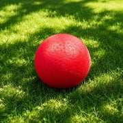 Playground Ball, High-Bounce Durable Rubber Dodge Ball For Grass Field Outdoor Team Back To School Kids Sports Practice Playground Activities Backyard Play Recess Fun