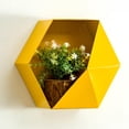 thumbnail image 2 of Soporte para plantas de aire Tillandsia, maceta colgante para flores, para decoración de pared de boda Amarillo 30cm, 2 of 9