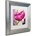 thumbnail image 2 of Trademark Fine Art " Pink Poppy I " Canvas Art by Color Bakery White Matte, Silver Frame, 2 of 4