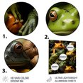 thumbnail image 3 of Designart "Family of Toads" Animals Metal Wall Art Prints, 3 of 5