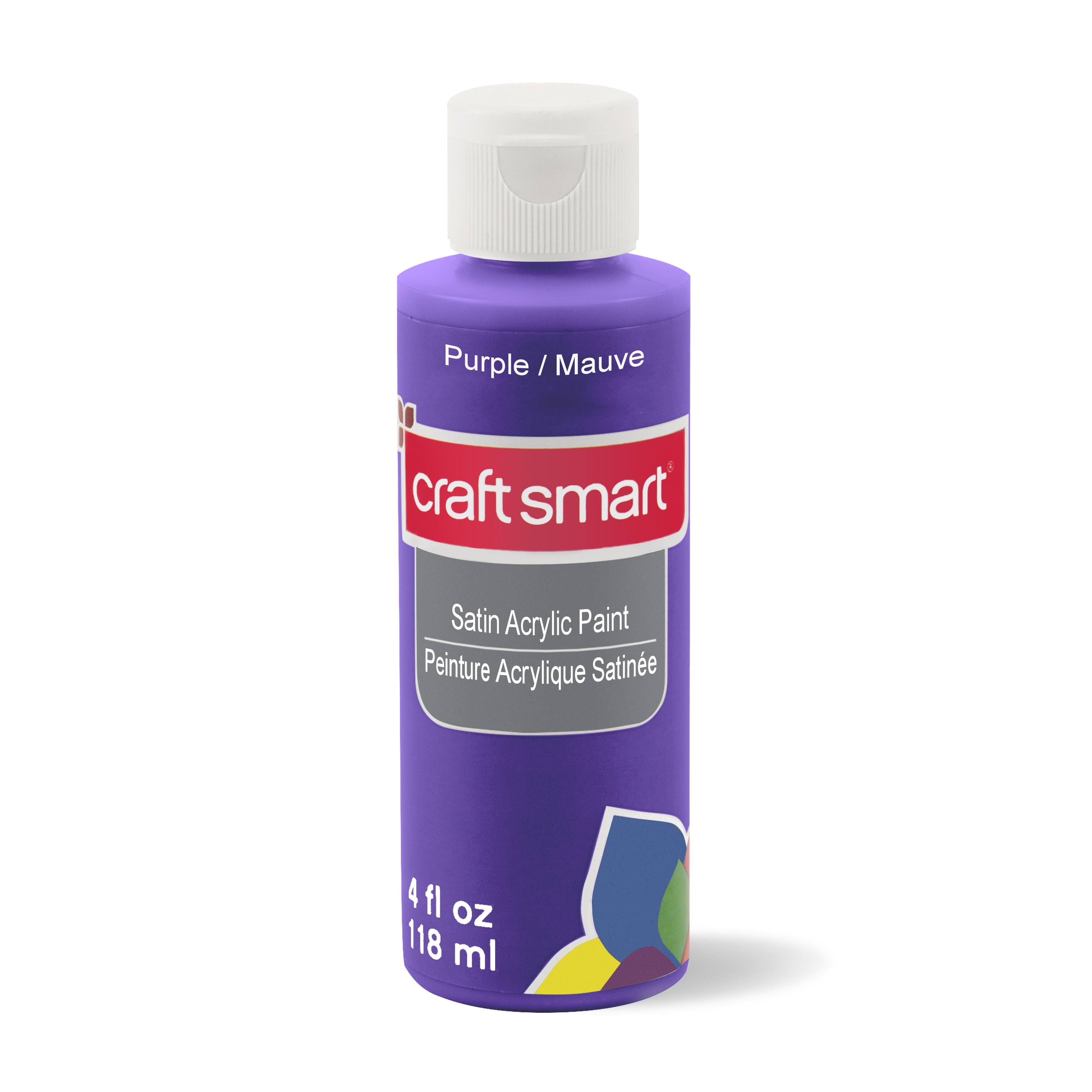 12 Pack Satin Acrylic Paint by Craft Smart®, 4oz.