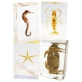 thumbnail image 1 of REALBUG 4 Pc Collection de Presse-Papiers Sea Life, 1 of 1