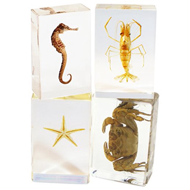 REALBUG 4 Pc Collection de Presse-Papiers Sea Life
