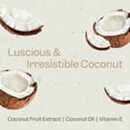 thumbnail image 5 of Renpure Coconut & Vitamin E Nourishing Shampoo, for All Hair Types, 28 oz, 5 of 8