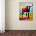 thumbnail image 3 of Trademark Fine Art 'Sizing Up Longhorn' Canvas Art by Marion Rose, 3 of 3