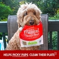 thumbnail image 2 of Stella & Chewy's Marie’s Magical Dinner Dust for Dogs - Duck Duck Goose Recipe - 7 Ounce Resealable Bag, 2 of 10