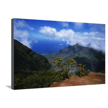 Hills along the Napali Coast Stretched Canvas Print Wall Art By W. Perry (Best Way To See Napali Coast)