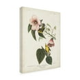 thumbnail image 2 of John James Audubon 'Blue Winged Yellow Warbler' Canvas Art, 2 of 3