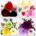 thumbnail image 1 of Boîte de Rangement en Acrylique Transparent Compatible Anti-Poussière pour Objets de Collection, Fleurs Préservées Diorama de Roses 4 Pcs, 1 of 5