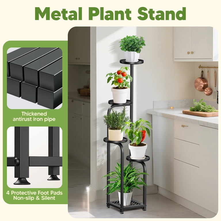 self watering snake plant Snake Plant With Self Watering Pot