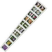 Wild Orchids Strip of 20 USPS First Class Forever Postage Stamps Flower Birthday Anniversary Wedding Celebration (20 Stamps)