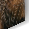 thumbnail image 3 of Epic Art 'High Grass' by J. E. Knauf, Acrylic Glass Wall Art, 16"x12", 3 of 8