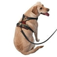 thumbnail image 2 of Fotbe American Flag1 Pattern Dog Harness, No-Pull Pet Harness with 2 Leash Clips, Adjustable Soft Padded Dog Vest with Easy Control Handle for Large Dogs-Medium, 2 of 6