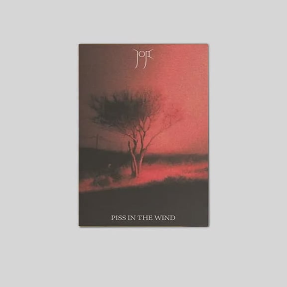 Joji Piss in the Wind Album Cover Poster Size 24''x36'' The Orange Shop